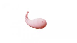 Stylowy wibrator łechtaczki - intensywna przyjemność dla Ciebie!