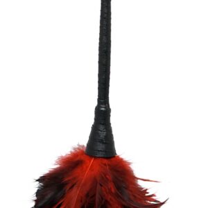 Frisky Feather Duster – Czerwona Pieszczotka z Miękkich Piór