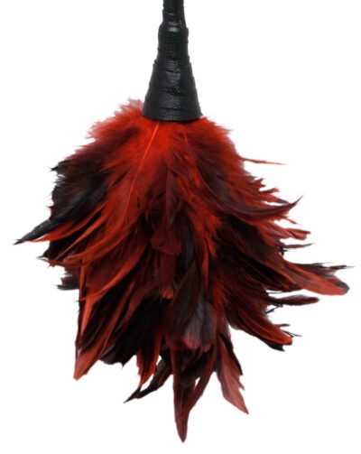 Frisky Feather Duster – Czerwona Pieszczotka z Miękkich Piór - obrazek 2