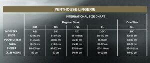 Bielizna Earth shaker black L/XL PENTHOUSE - obrazek 4