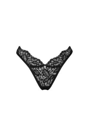 Bellastia stringi  M/L - obrazek 7