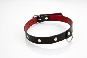 Zmysłowe i ekskluzywne akcesoria BDSM - Kolekcja WHIPS: Odkryj nowe emocje i doznania! - obrazek 3