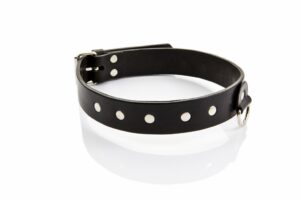 Zmysłowa Moc WHIPS - Wyjątkowe Smycze BDSM o Najwyższej Jakości - Podkreśl Fantazje w Eleganckim Stylu! - obrazek 3